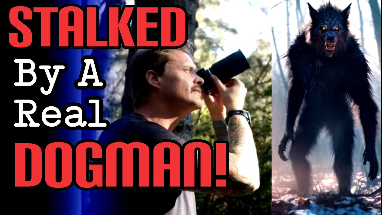 SHOCKING PHOTO! + Real Reports | Five True Dogman Cryptid Encounter Stories