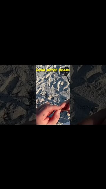 Metal Detecting Florida Beach Treasure Hunt Jewelry Find • Search 4 Gold & Silver