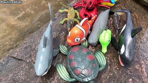 Sea Animal Toys This Summer at the Shore