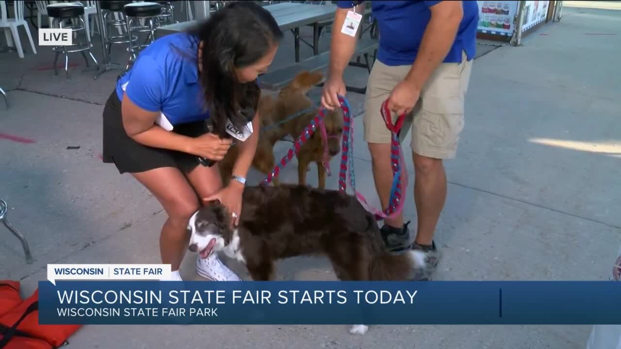 What you can see at this year's Wisconsin State Fair