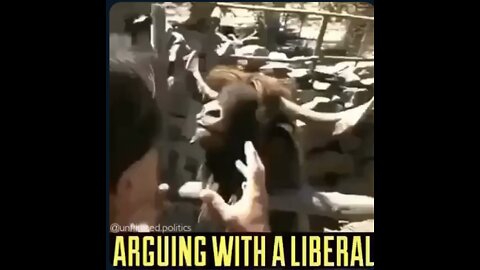 Arguing with a liberal aka LIBTARD