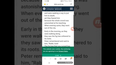 Jesus is our Savior/ Bible reading May 28 / 2021