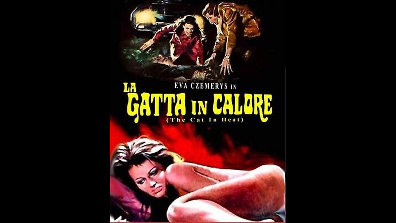 FILM---LA GATTA IN CALORE