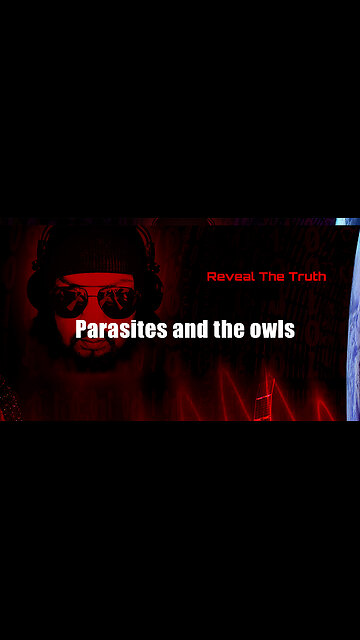 Parasites and the owls