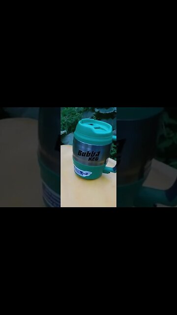 Giant Pumpkins #pumpkins #gardening #diygardening