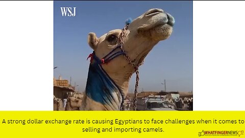 A strong dollar exchange rate is causing Egyptians to face challenges when it comes to selling