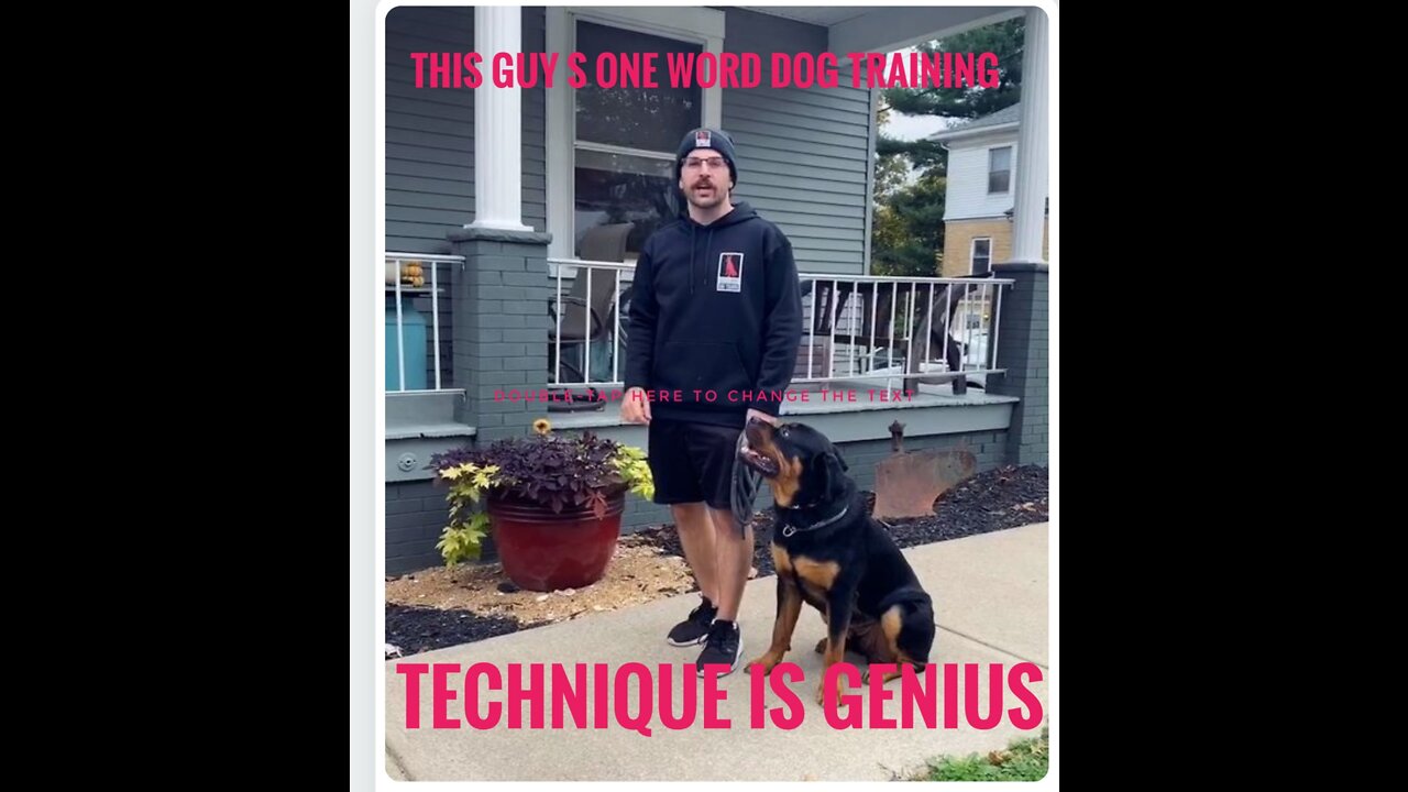 This guy s one word dog training technique is genius