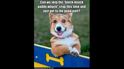 102324 Funny Laugh Out Loud Hilarious Memes Jokes Cartoons