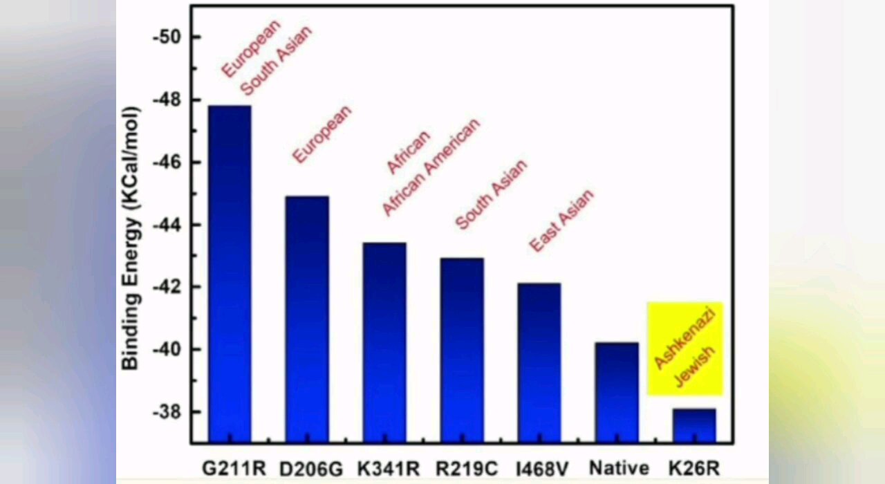 C19 Ethnically Targeted Towards Blacks And Whites, Ashkenazi Jews And Chinese Least Effected