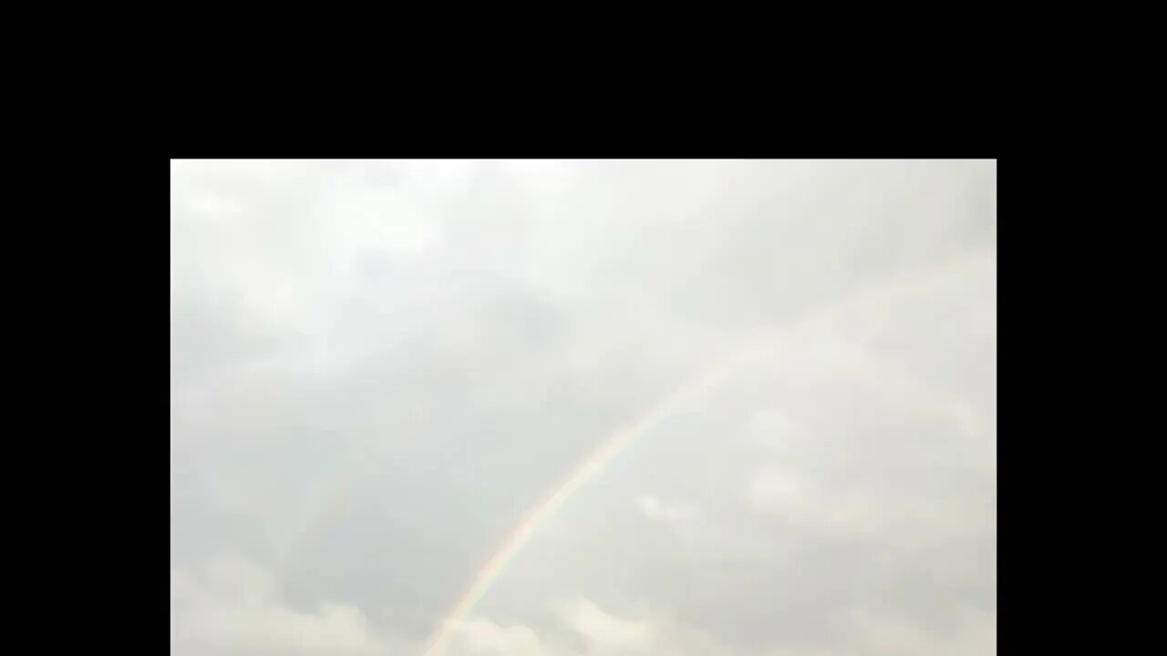 What I see and pour take in