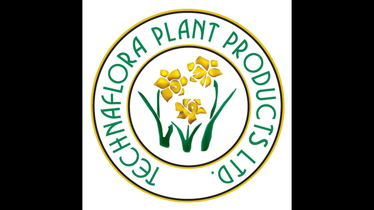 Technaflora GL56720540 B.C. Boost, 1 L fertilizers, 1 Liter, Natural