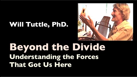 Will Tuttle, Beyond the Divide: Understanding and Transcending the Forces That Got Us Here