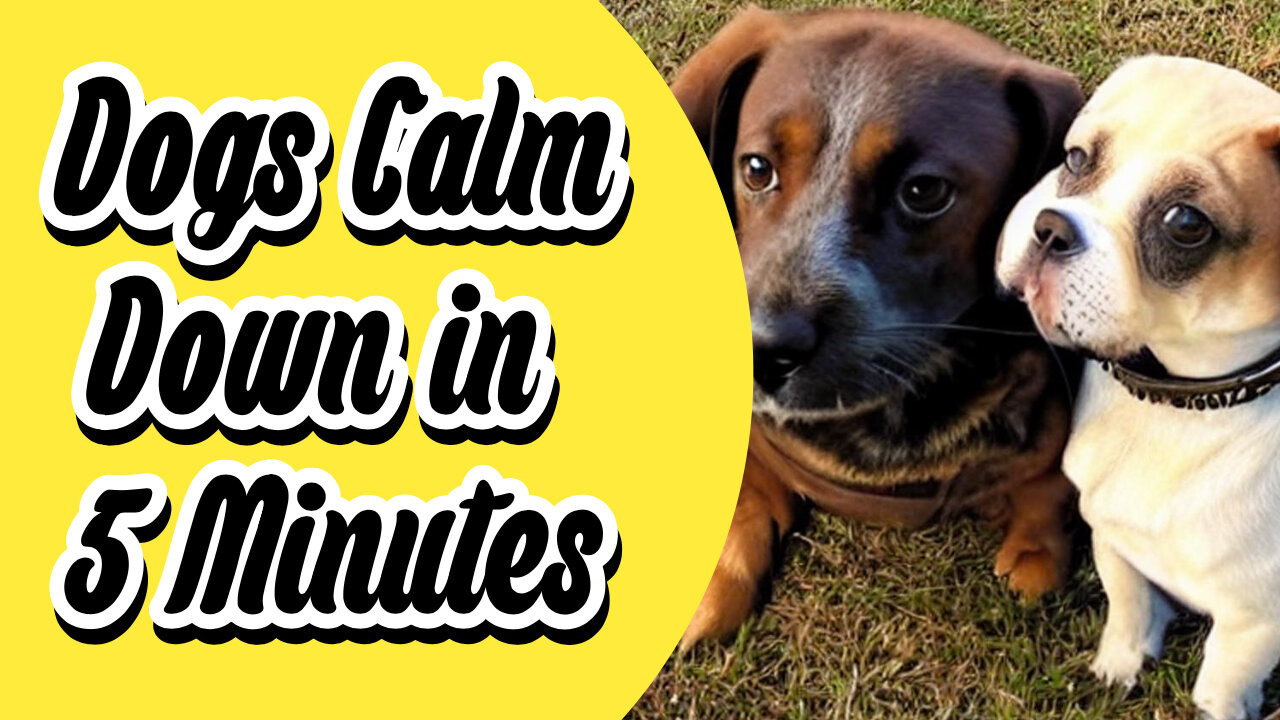 Relaxing Sound for Dogs to Calm Down in 5 Minutes