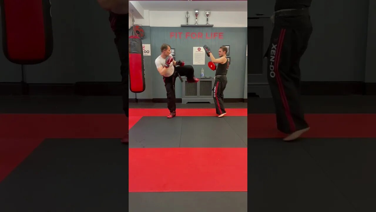 Jab, sidekick combination #taekwondo #kickboxing #sidekick #jab #combination #training #martialarts