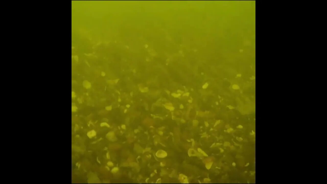 throwing in the camera