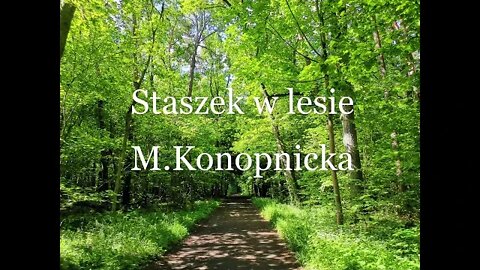 Staszek w lesie - M.Konopnicka