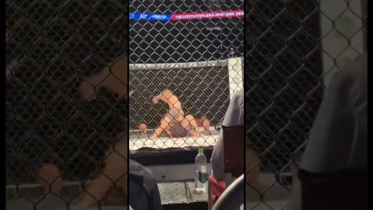 Big MMA Knockdown #mma #ufc #shorts