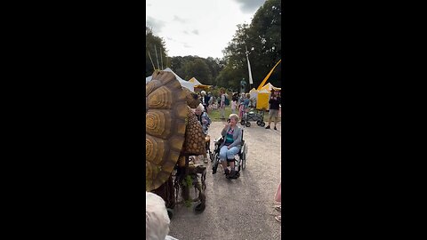 Grandma Tortoise Wants to Join Some Other grandmother's being patient with all these hatchlings