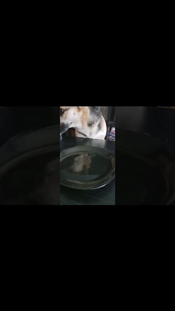 Glitch In The Matrix