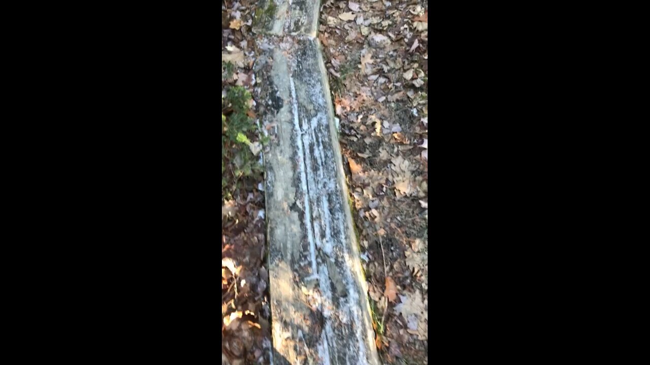 Trail video #4