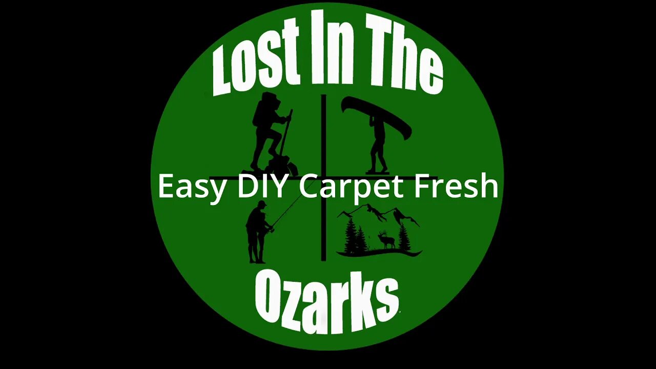 Easy DIY Carpet Fresh