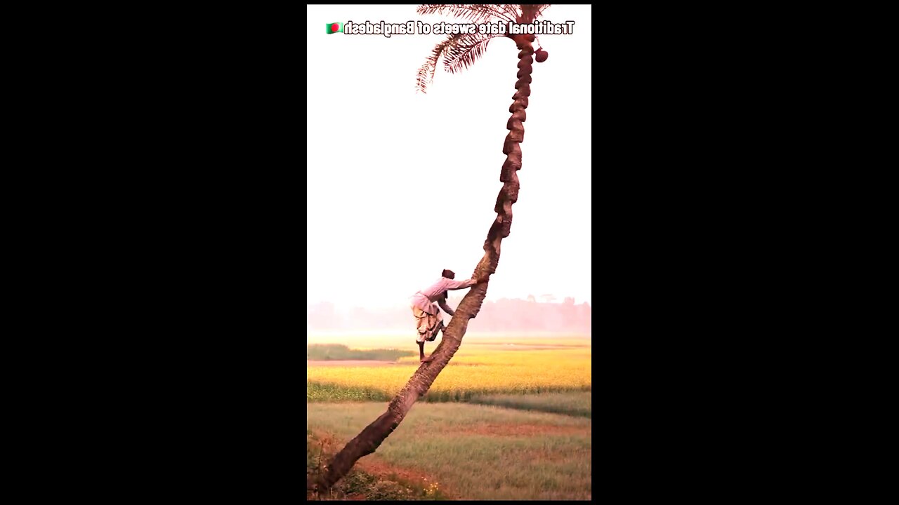 Traditional date sweets of Bangladesh