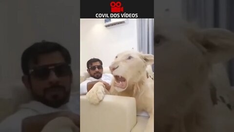 olha o pet desse cara