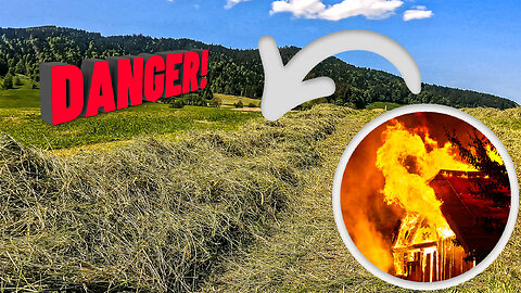 This can be a farmer's worst nightmare. (Farming The Alps #12)