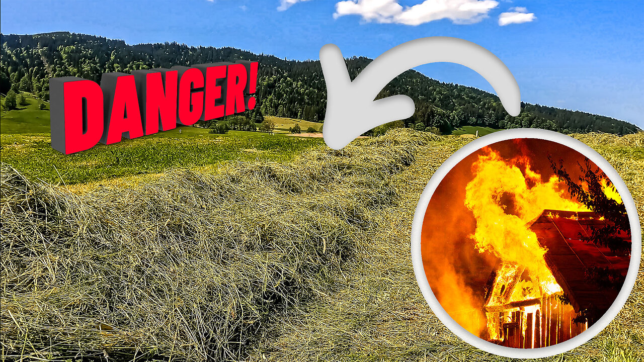 This can be a farmer's worst nightmare. (Farming The Alps #12)