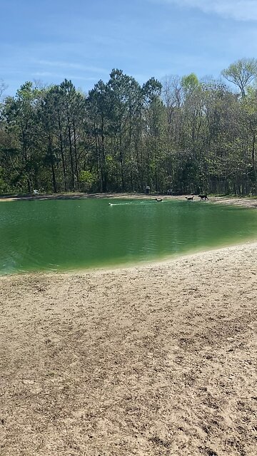 Dog Park Day! Break from driving😎