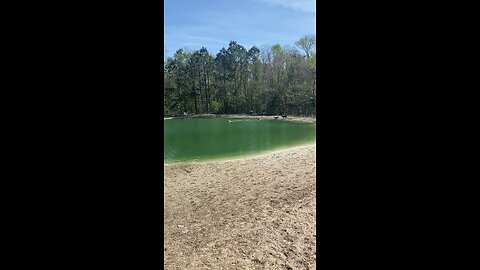 Dog Park Day! Break from driving😎