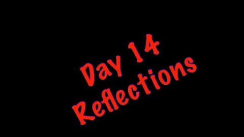 Day 14 reflections