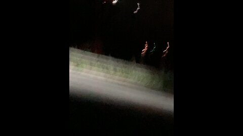 Tail End of the Fireworks