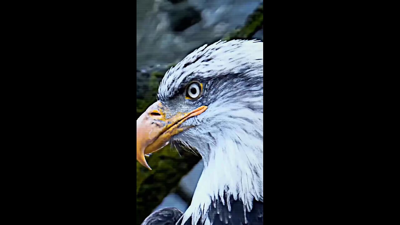 π¦
π¦
π―πΊπΊ