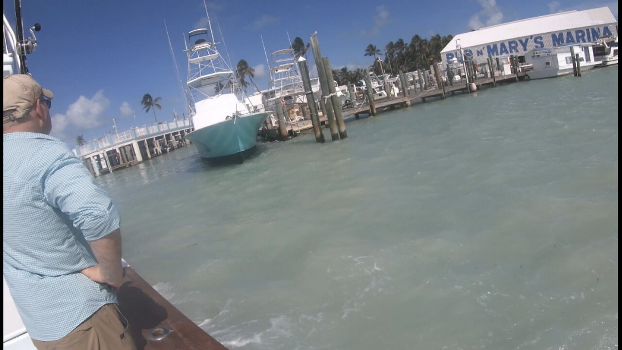 Wild barracuda catch off the Florida Keys