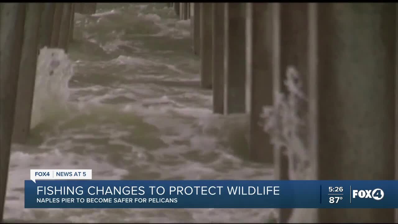 New fishing regulations possible at Naples Pier