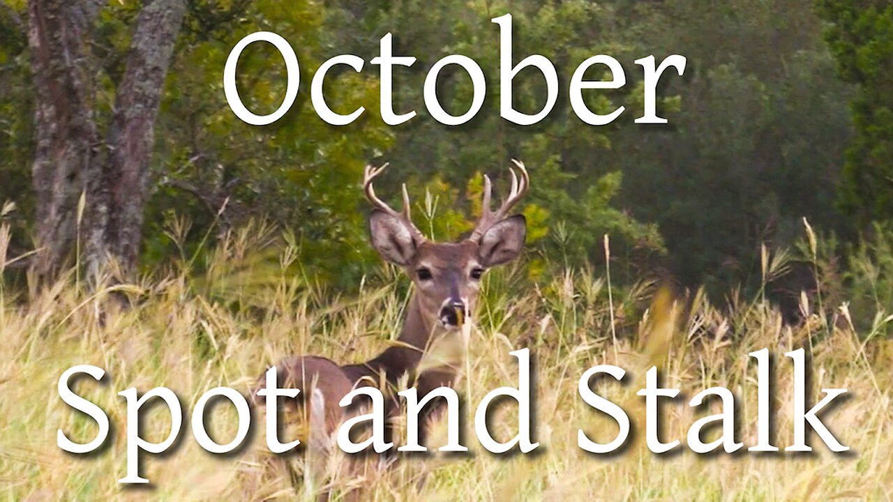 October BUCKS! - Spot and Stalk on Private Land 2022