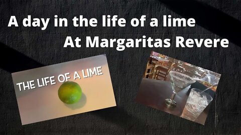 A day in the life of a Lime - Fresh Squeezed Margaritas