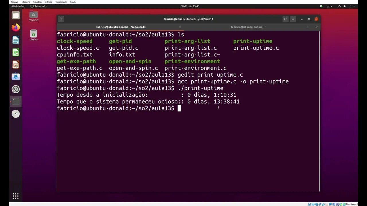 print-uptime.c - Imprime o Tempo desde a Inicialização do Sistema e o Tempo Ocioso no Linux