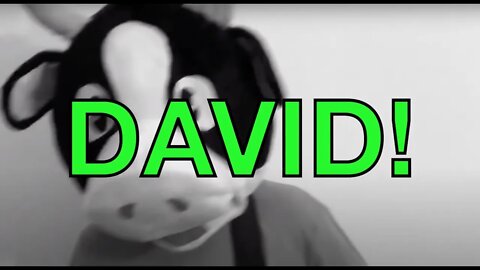 Happy Birthday DAVID! - COW Happy Birthday Song