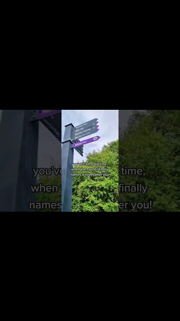 Town names street after tiktok viral dog! #Shorts #dogs #rottweiler