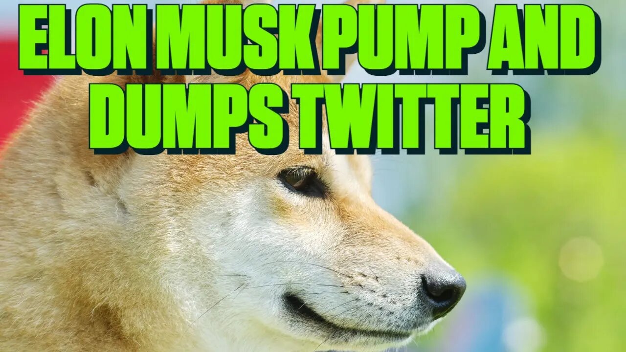 DOGE Pumps When Elon Does Anything