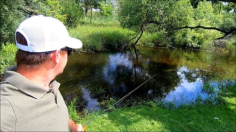 Surprising Catch from Portage Creek