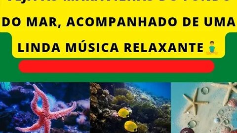 VEJA AS BELEZAS DO MAR... ACOMPANHADO DAQUELA MÚSICA RELAXANTE🧘‍♂️