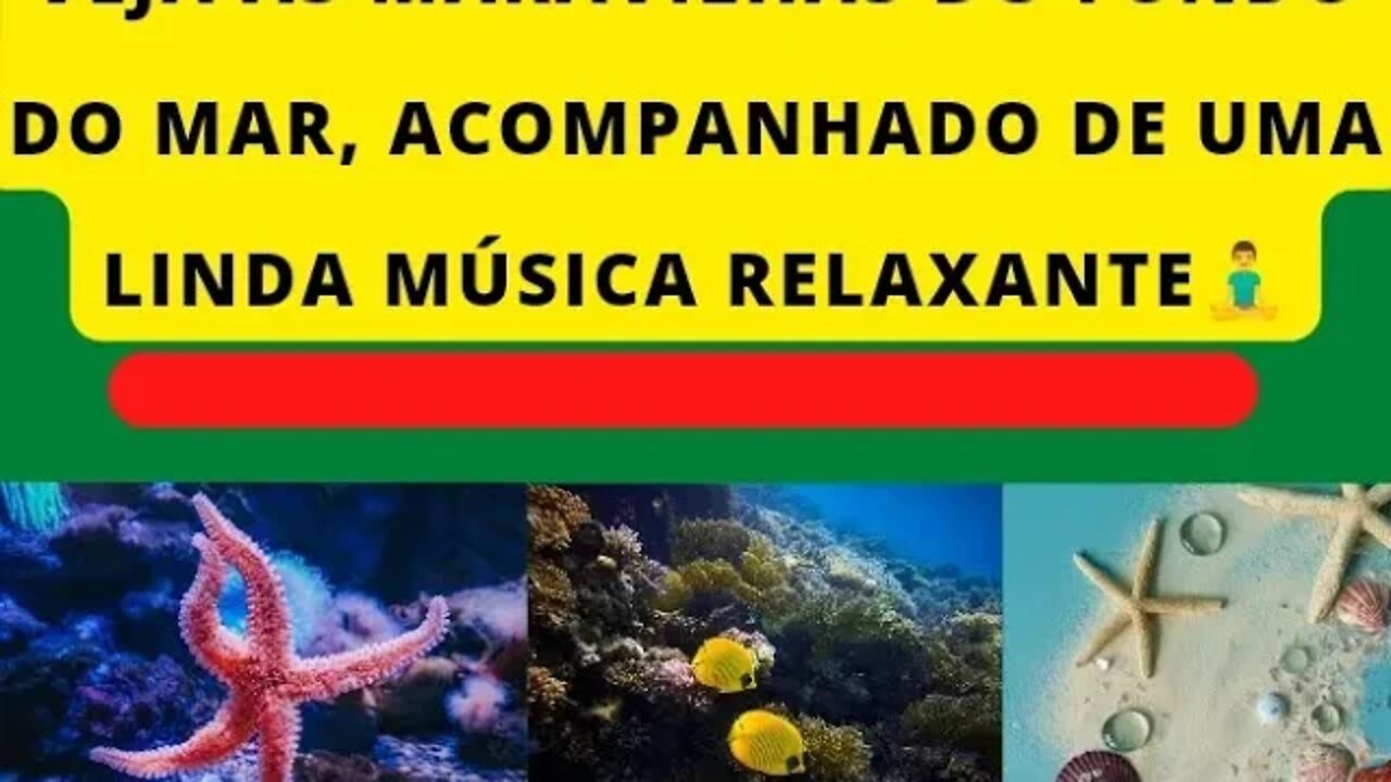VEJA AS BELEZAS DO MAR... ACOMPANHADO DAQUELA MÚSICA RELAXANTE🧘♂️