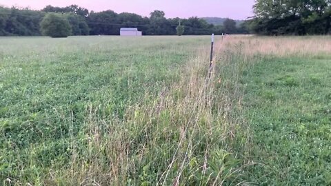 Pasture Rotation Plan 2022, Explained