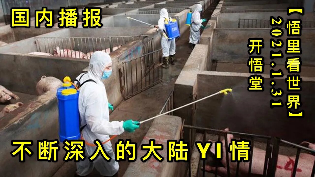 KWT979(1)不断深入的大陆"YI"情20210131-9【悟里看世界】