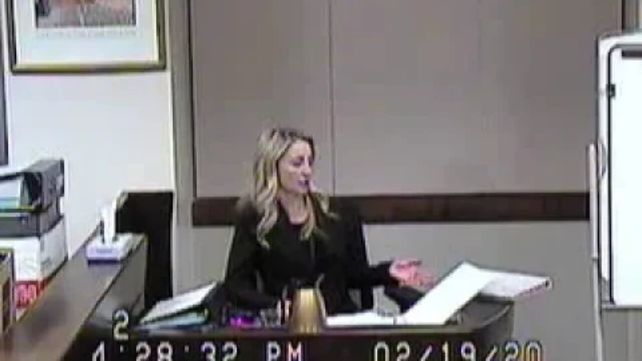 Gonzalez matter before Cheryl Moss Family Court Judge Clark County Family Division 2/19/20 4-5