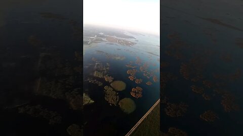 Lake Erie Sketchy Land Outs on paramotors, Pilots inspecting the marshes