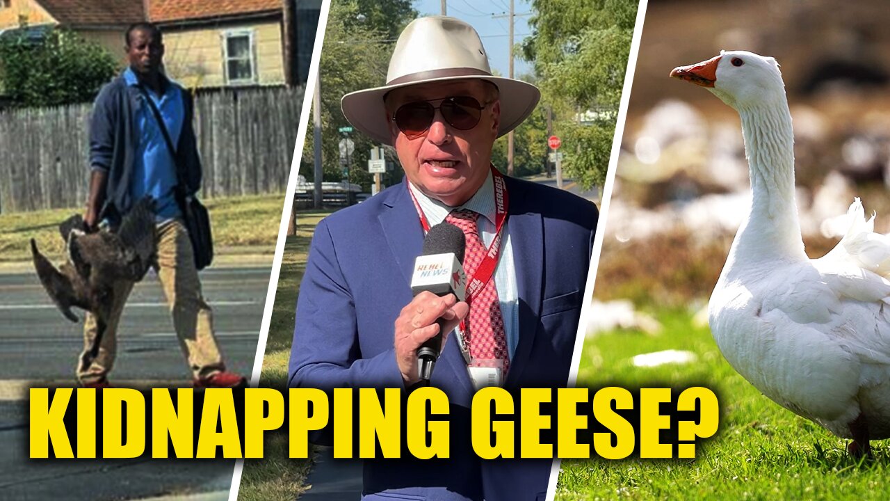 Haitians allegedly capturing wild geese in Springfield, Ohio